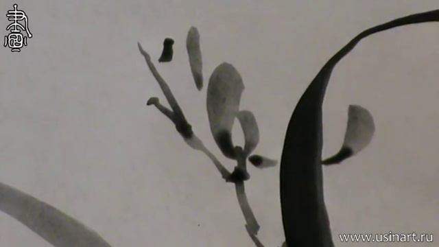 Уроки по китайской живописи дикая орхидеи 兰花 Урок 9 _Елена Касьяненко рисует Орхидею смотреть онлайн