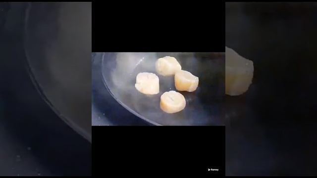 Готовим морепродукты смотреть онлайн