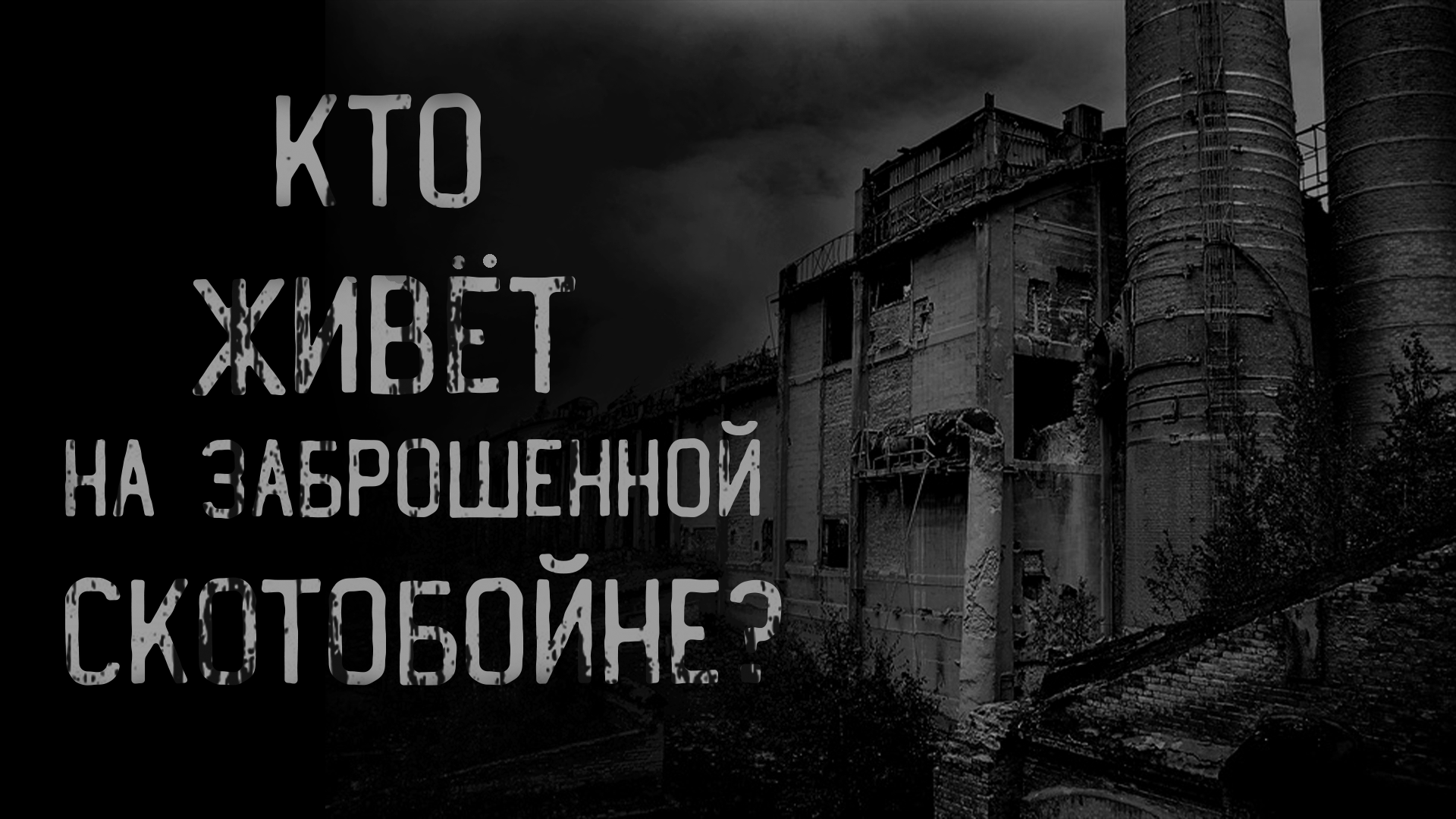 КТО ЖИВЁТ НА ЗАБРОШЕННОЙ СКОТОБОЙНЕ? | страшные истории | ужасы | мистика смотреть онлайн
