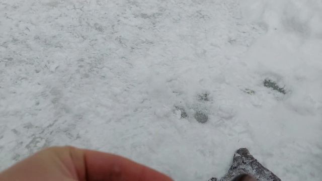 На железо и форель и бонусом блесна смотреть онлайн