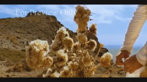 📽️ Х/Фильм,,, про Пророк Мухаммад, Саллаллаху Алайхи вассалам,,, Самый сильный фильм!