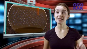 Обзор: Жидкость для септиков и выгребных ям Goodhim Биодача