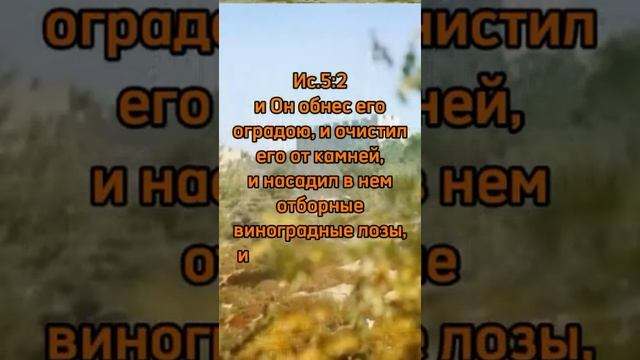 Книга пророка Исаии 3:1-13