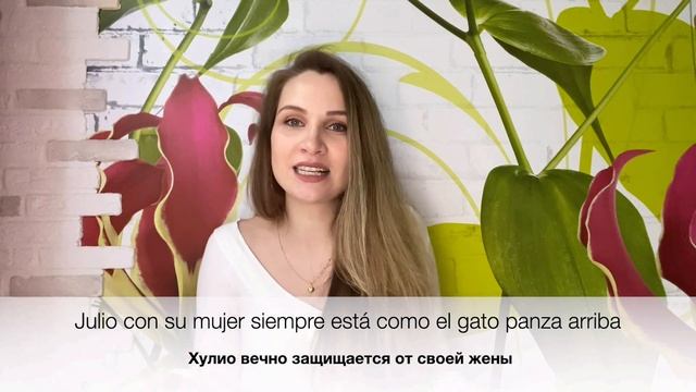 ТОП разговорных испанских выражений с КОТИКАМИ | Как общаться как НОСИТЕЛЬ | ИДИОМЫ | Español смотреть онлайн