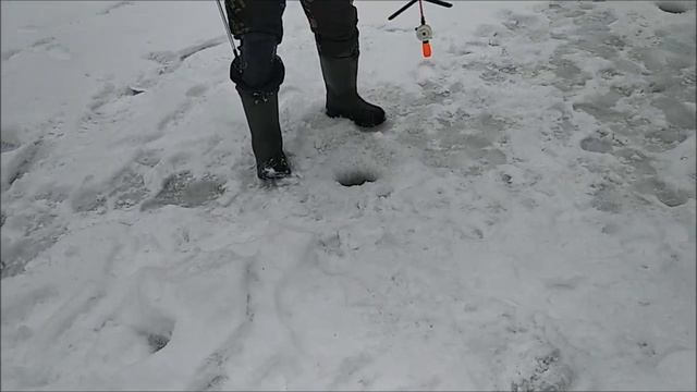 Рыбалка на нижнем продолжается, но уже в другом русле. Клёвое место, Лосиный остров. смотреть онлайн