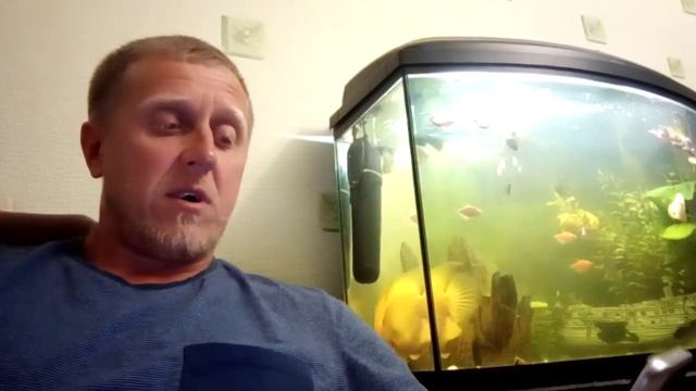 Волшебник Изумрудного города. Изумрудный город. Удивительные превращения волшебника Гудвина. смотреть онлайн