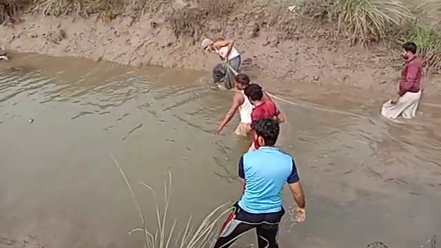 Village Fishing Video | Traditional Fish Catching in Canal | Best Fishing By Net смотреть онлайн