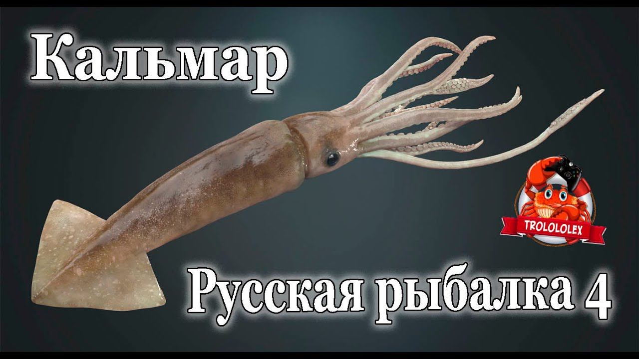 Русская рыбалка 4 Кальмар смотреть онлайн