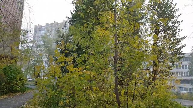 ВЛОГ ✔С Первым снегом Пермь! Снег в Перми #СЕМЬЯ В ГОРОДЕ | Дневник семьи Петрушенко! смотреть онлайн