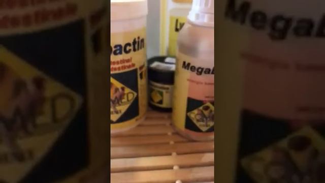 Витамины для птиц и не только.. для содержания экзотических птиц дома