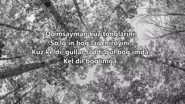 Botir Zokirov - Umid