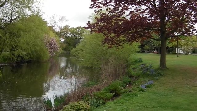 Fuji HS10 Camera HD video test смотреть онлайн