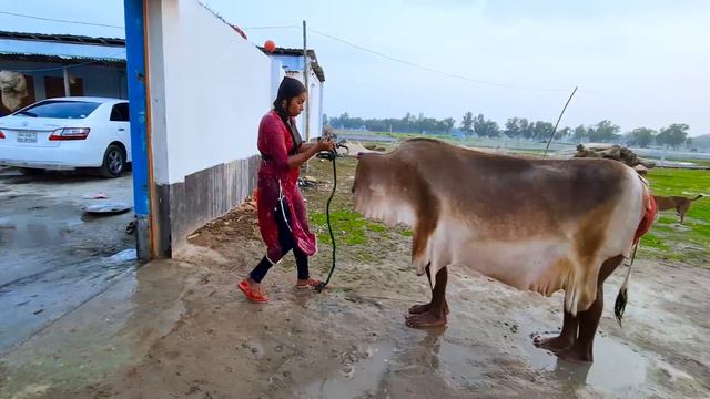 Top New Funniest Comedy Video 😂 Most Watch Viral Funny Video 2024 Episode 143 By Fun Tv 420 смотреть онлайн