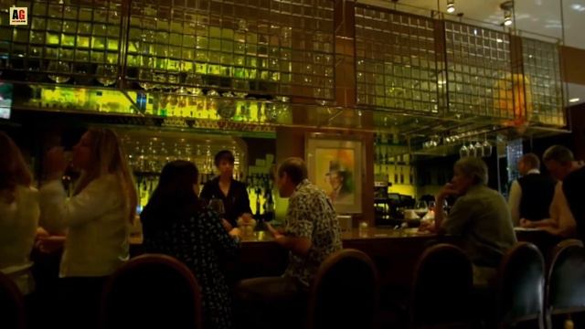 क्या आप जानते है BAR, PUB, CLUB और LOUNGE में क्या अंतर होता है? смотреть онлайн