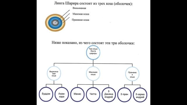 2/3 Лекция по основам Йоги. Пять кош, Линга Шарира, индрии. Проводит Катерина Самко. 23.11. 2019 смотреть онлайн