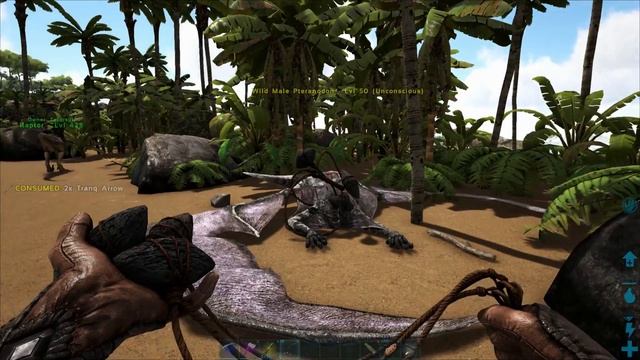 Fast Pteranodon Taming Guide :: ARK : Survival Evolved Tips and Tricks смотреть онлайн