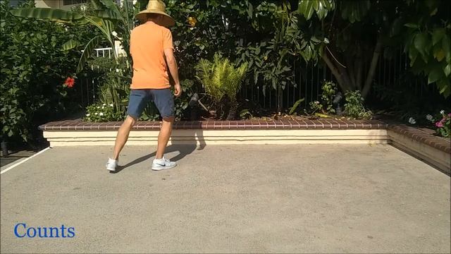 3 TO TANGO - Line Dance LESSON смотреть онлайн