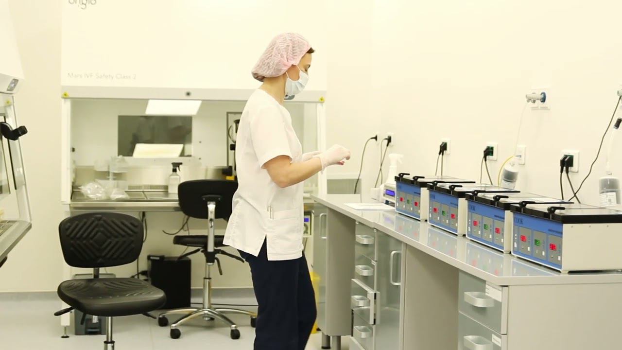 Возможности современной эмбриологии смотреть онлайн