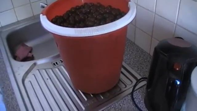 Как вынуть косточки из вишни смотреть онлайн
