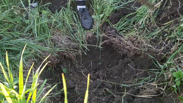 100кг ЗА ПАРУ ЧАСОВ/ИЛИ КАК МОЖНО ЗАРАБОТАТЬ НА МЕТАЛЕ... #металокоп #металоискатель #заработок смотреть онлайн