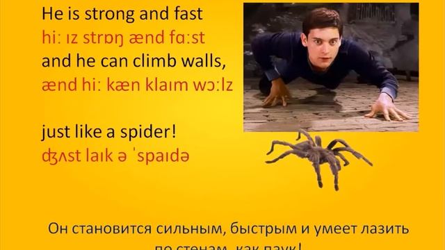 Спотлайт 5 класс, с  37. 