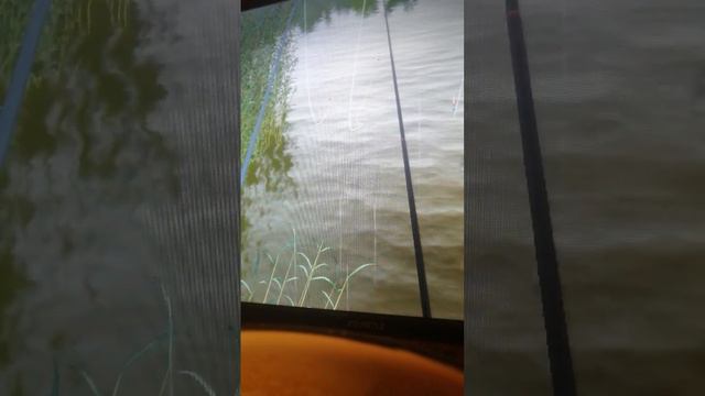 русская рыбалка 4 гайд на озере комаринное раздача трофеев!!! смотреть онлайн