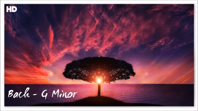 Bach G Minor Piano Tiles смотреть онлайн