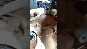 Хитрость снятия и установки заднего колеса на четырехтактном скутере.