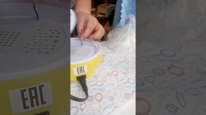 Мини инкубатор на 7 яиц, купленный на Озоне