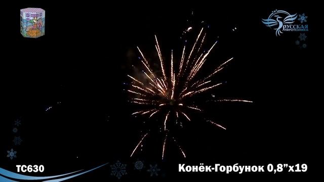 Салют Конек-Горбунок 19 залпов смотреть онлайн