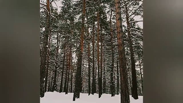 Зимние прогулки в парке. смотреть онлайн