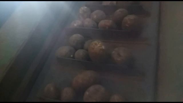 Семенной картофель с Урала +7(912)22-013-26. Астрахань садит картофель, УДАЧИ!!! смотреть онлайн