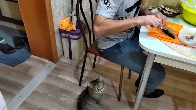 Готовы Сберкарты и Мне и Детям/Ох уж Эти Дни Рождения! Меня На Помощь не Зови? 22.11.23 смотреть онлайн