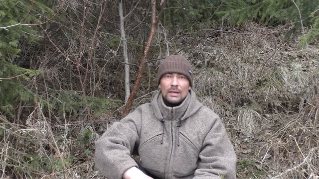 ДВЕ НЕОБЫЧНЫЕ ВСТРЕЧИ С МЕДВЕДЕМ / РАССКАЗЫ ОБ ОХОТЕ / МЕДВЕДЬ ОЧЕНЬ ЛЮБОПЫТНЫЙ И ОПАСНЫЙ ХИЩНИК. смотреть онлайн