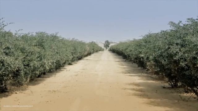 Багаевский гидроузел смотреть онлайн