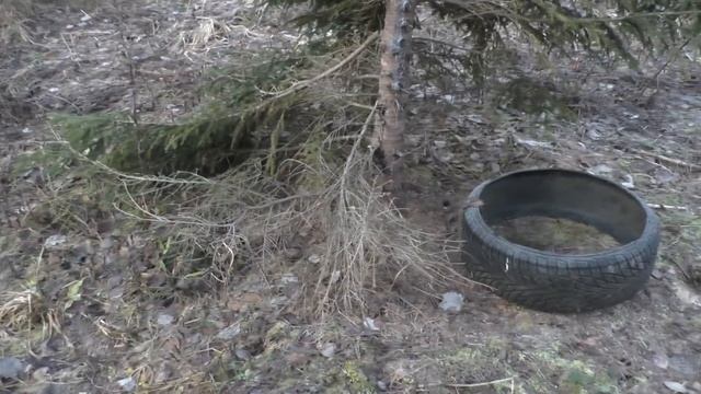 15. Ремонт кормушки. Кабаны на поле. смотреть онлайн