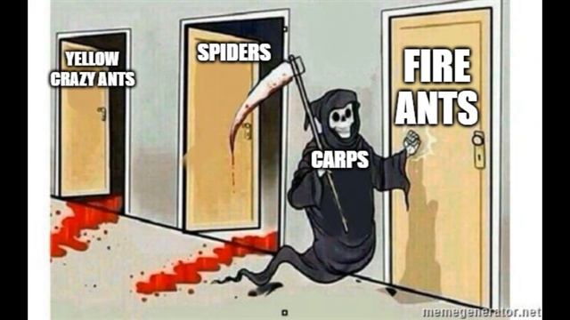 Ant life V2 memes. {Roblox: Ant Life V2} смотреть онлайн