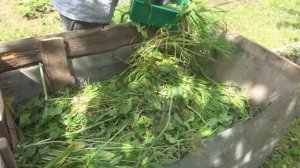 Готовим компостный ящик и высаживаю тыкву особым способом, можно дальше заполнять компостную кучу