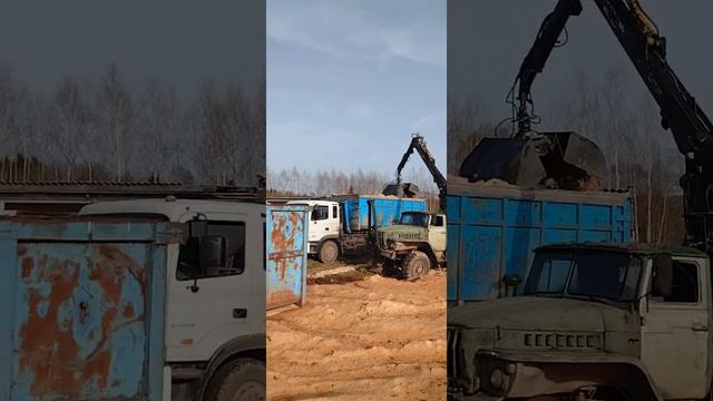 Синий Толик.