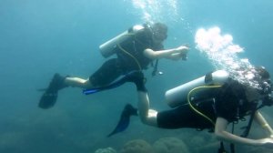 Дайвинг на острове Ко Тао// Русский Дайвинг Клуб