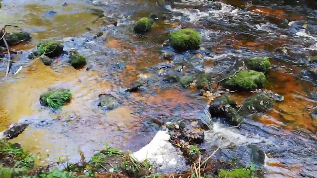 Поиск золота на реке 2 смотреть онлайн