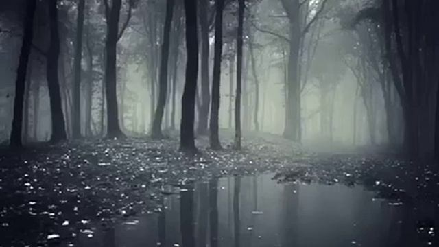 ЭРОНИЙ 2888 АС 03 смотреть онлайн