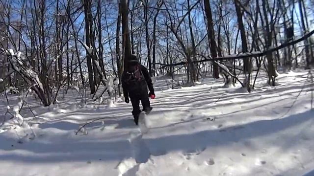 ПВД «ФИЗТЕХ». Обзор маркированного маршрута смотреть онлайн