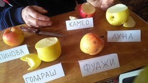 сорта яблок Луна, Камео, Голдраш, Фуджи, Пинова. Пробуем.