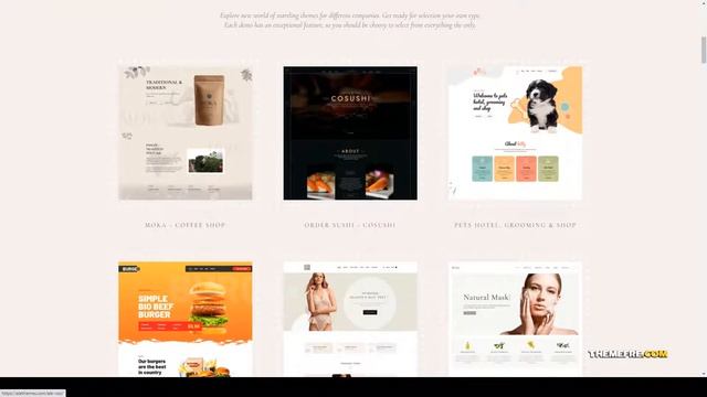 Ale - eCommerce WordPress Multipurpose Theme unique design multipurpose Miyashita смотреть онлайн
