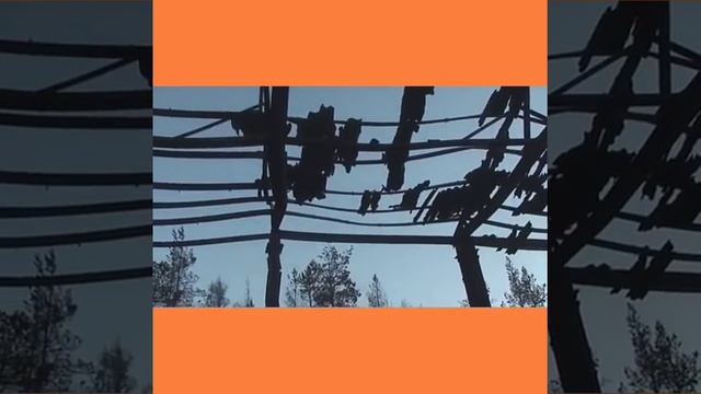 Обязательно поставь палец вверх и подпишись и посмотри со слезами?? смотреть онлайн