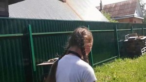 Шиншилла на прогулке?! Шиншилла гуляет /рыжая шиншилла