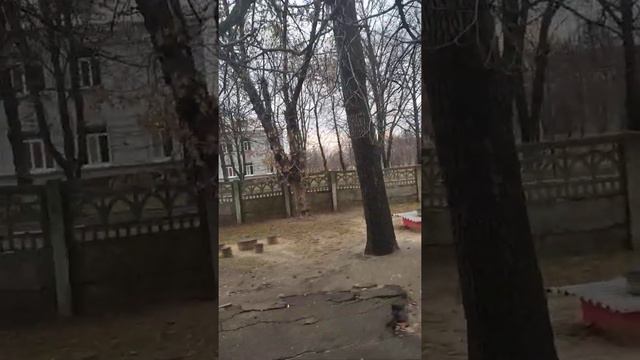 Ясиноватая ноябрь 2021 смотреть онлайн