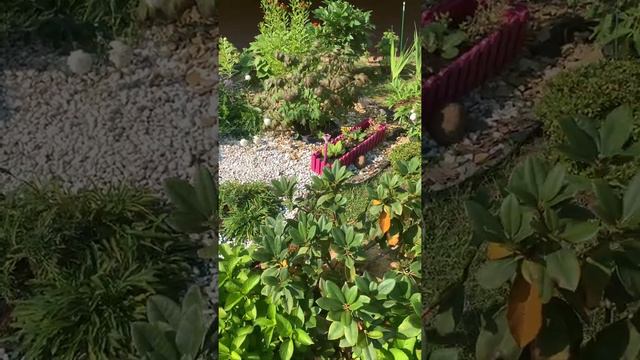 Астановский Дмитрий Львович поздравляем с днём рождения 27 июля смотреть онлайн