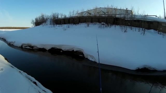 Ловля язя и ельца в устье микро-речки во впадении в Обь - Часть I смотреть онлайн